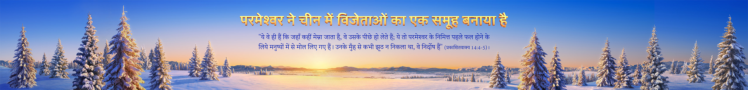 Banner-testimonies-4-pc