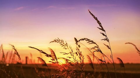 झूठे मसीह को कैसे पहचाना जा सकता है और उसके प्रमाण चिह्न कौन-कौन से हैं