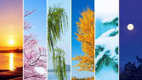 चौथे दिन परमेश्वर ने क्या बनाया?