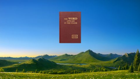 परमेश्वर को लोगों का न्याय और उनकी ताड़ना क्यों करनी पड़ती है?