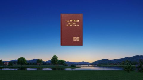 आप लोग इस तथ्य के गवाह हैं कि प्रभु यीशु लौट आये हैं और उन्होंने अपना कार्य करने के लिए देहधारण किया है। यह बात मैं समझ नहीं पाया। हम सब जानते हैं कि प्रभु यीशु परमेश्वर का देहधारण थे। अपना कार्य पूरा करने के बाद, उन्हें सूली पर लटका दिया गया और तब वे फिर से जीवित हो उठे और अपने सभी शिष्यों के समक्ष प्रकट हुए और वे अपने तेजस्वी आध्यात्मिक शरीर के साथ स्वर्ग में पहुँच गए। जैसा कि बाइबल में कहा गया है: "हे गलीली पुरुषो, तुम क्यों खड़े आकाश की ओर देख रहे हो? यही यीशु, जो तुम्हारे पास से स्वर्ग पर उठा लिया गया है, जिस रीति से तुम ने उसे स्वर्ग को जाते देखा है उसी रीति से वह फिर आएगा" <span class="from-inline">(प्रेरितों 1:11)</span>। इस प्रकार, बाइबल-संबंधी शास्‍त्र इस बात की पुष्टि करते हैं कि जब प्रभु फिर से आएंगे, तो उनका पुनर्जीवित आध्यात्मिक शरीर हमारे सामने दिखाई देगा। अंत के दिनों में, परमेश्वर ने न्याय का कार्य करने के लिए मनुष्य के पुत्र के रूप में देहधारण क्यों किया है? प्रभु यीशु के पुनर्जीवित आध्यात्मिक शरीर और मनुष्य के पुत्र के रूप में उनके देहधारण के बीच क्या अंतर है?