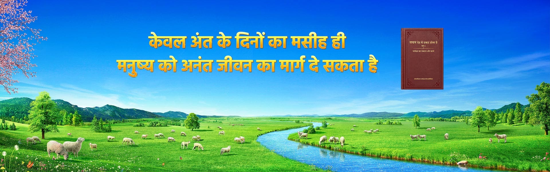 केवल अंतिम दिनों का मसीह ही मनुष्य को अनंत जीवन का मार्ग दे सकता है